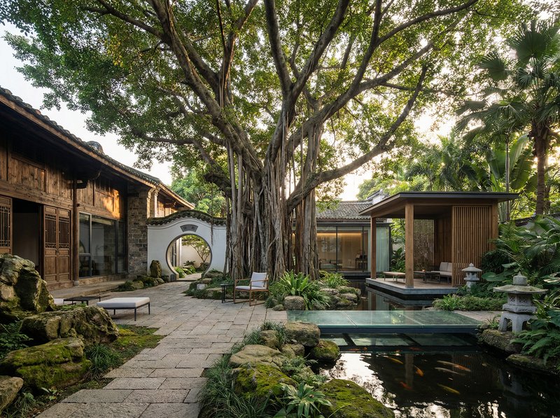 麻豆传媒古榕树纪录片视频